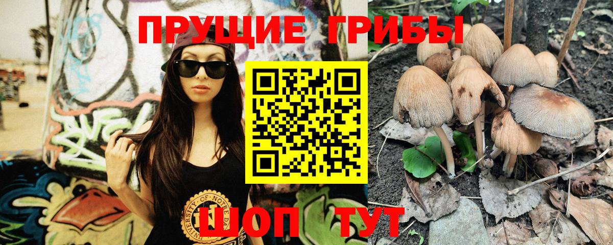 Псилоцибиновые грибы GOLDEN TEACHER Северск