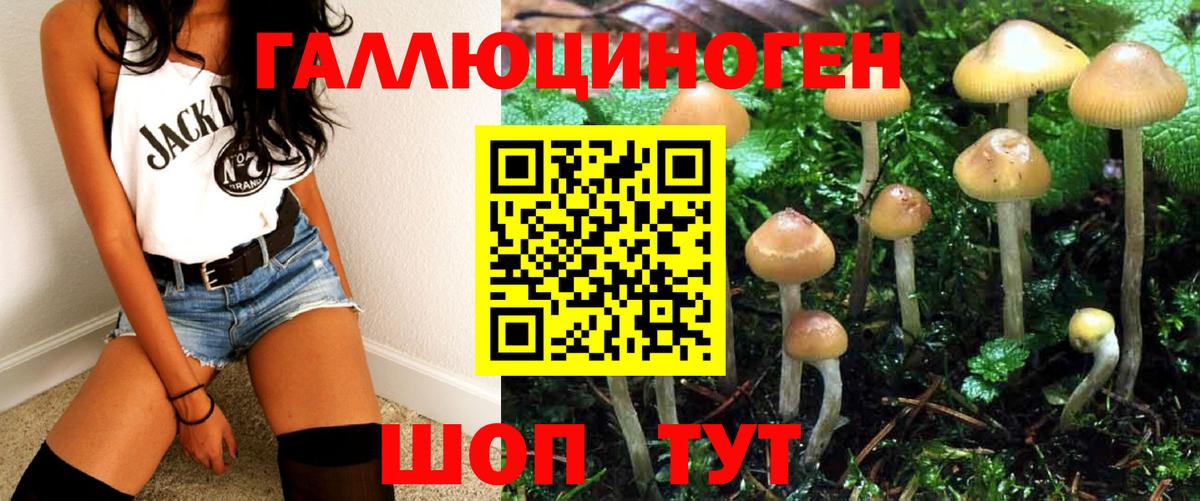 Северск  Псилоцибиновые грибы ЛСД  Вход с VPN  купить   Галлюциногенные грибы Psilocybe 